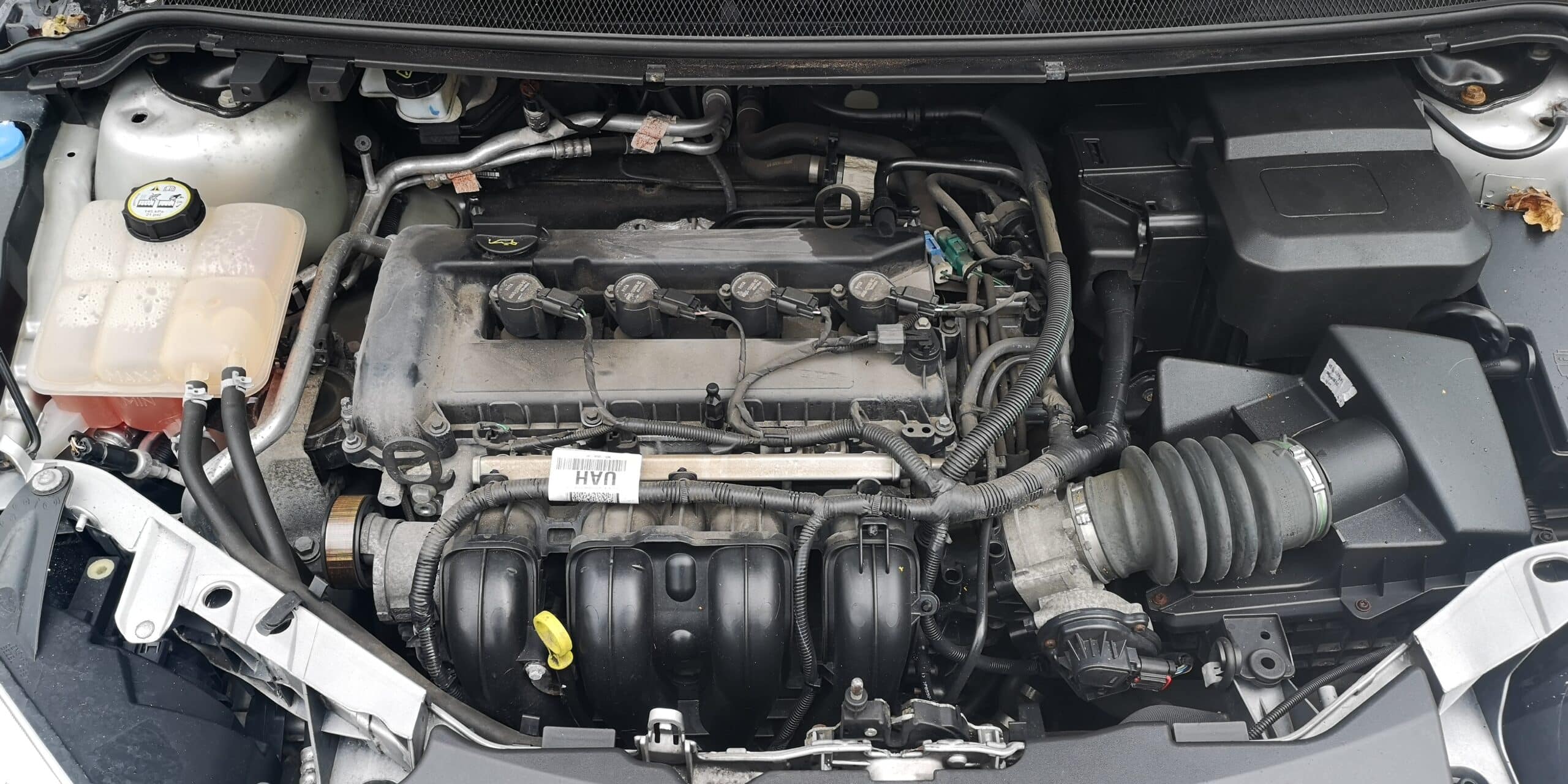 Ford Duratec 1.8 HE Engine Specs And Problems | EnginesWork