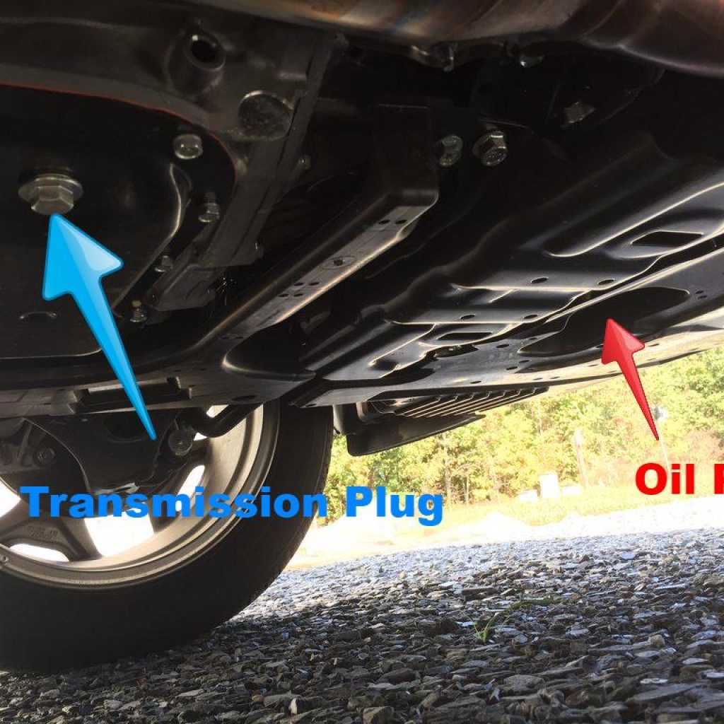 Subaru Forester Oil Capacity And Oil Change Interval Engineswork